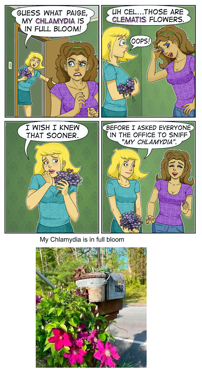 A comic with sarcasm, awkward moments, and dirty jokes about mistaking flowers for a disease.