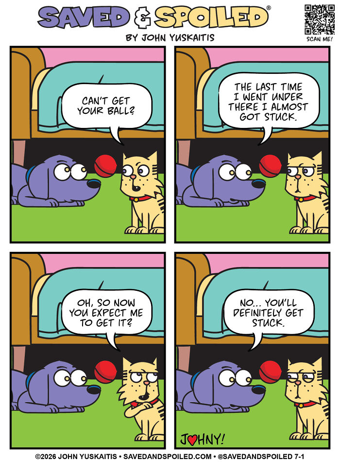 A comic of a dog and cat discussing a lost ball under a bed, illustrating how a dog and cat coexist.