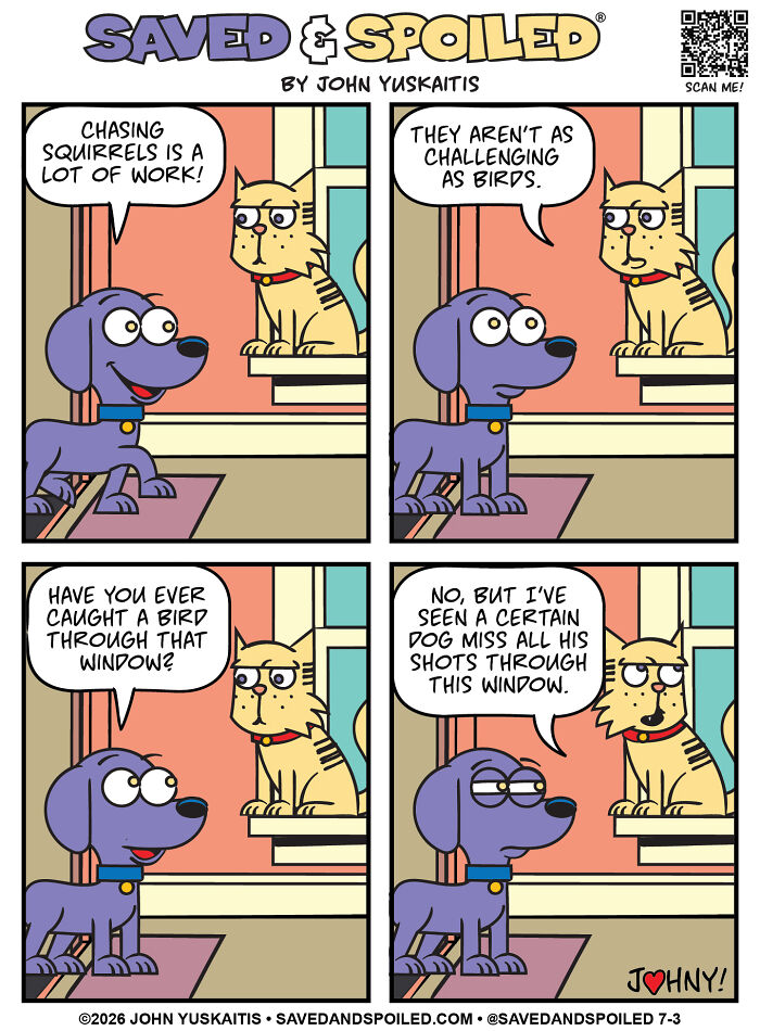 A comic of a dog and cat discussing chasing squirrels and birds through a window, illustrating how a dog and cat coexist.