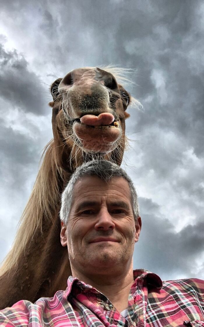 A man takes a selfie with a funny horse making a ridiculous face, capturing a moment from hilarious animal photos.