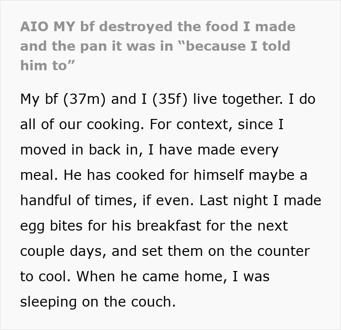 A true crime story waiting to happen: Text describing a boyfriend destroying food and pan.