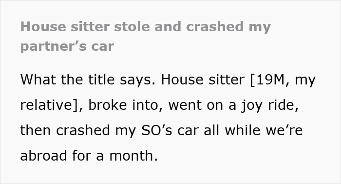 Screenshot of text detailing a house sitter who stole and crashed a car.
