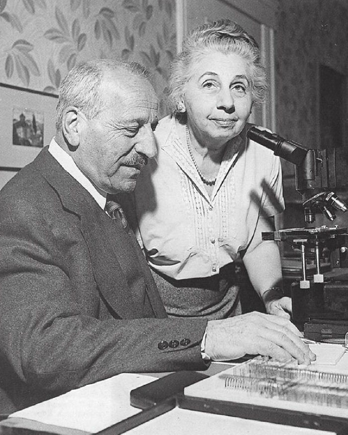 An older man and woman looking at a microscope, a curious fact about scientific discoveries.