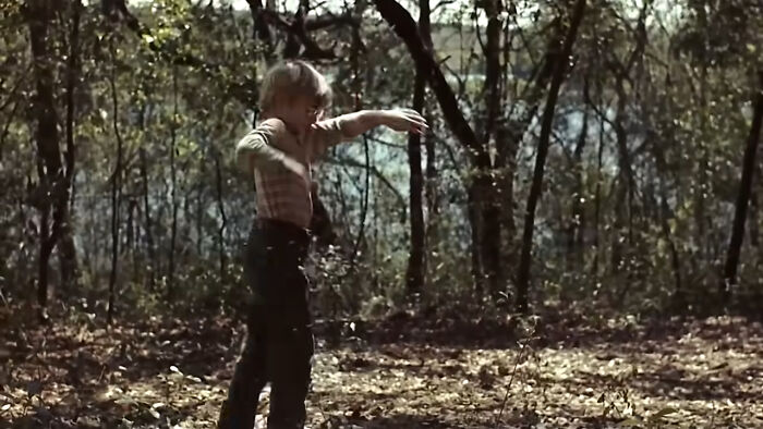 A child standing in a forest with outstretched arms, a curious fact about nature or childhood.