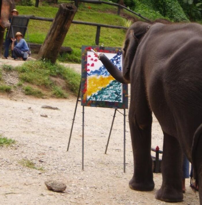 An image of an elephant painting a picture with its trunk. This image provides curious facts about animal intelligence.