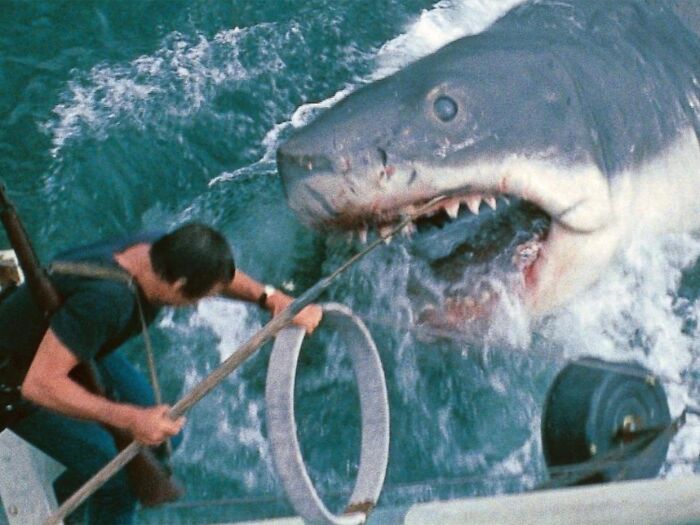 A man on a boat battling a massive great white shark with its mouth open, showcasing curious facts about marine life.