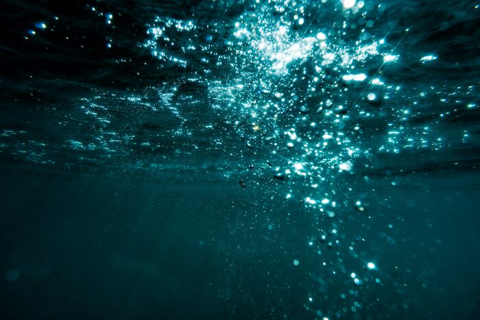 An image capturing the mesmerizing underwater bubbles. This image offers curious facts about aquatic phenomena.