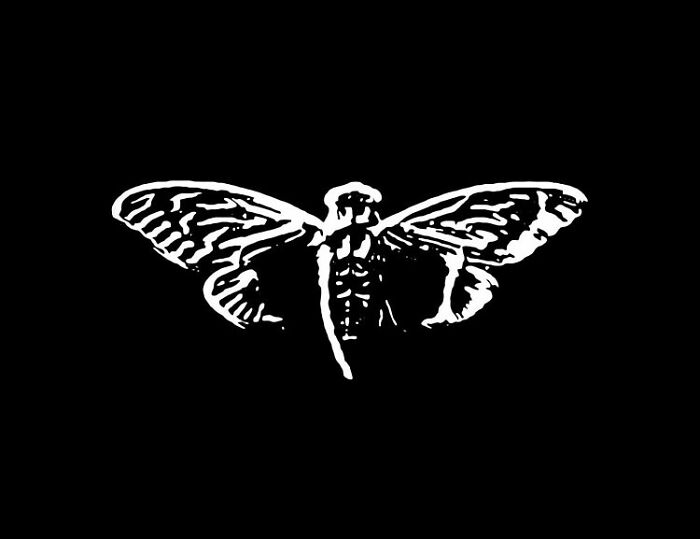 A white outline of a moth or cicada on a black background, symbolizing an internet unsolved mystery.