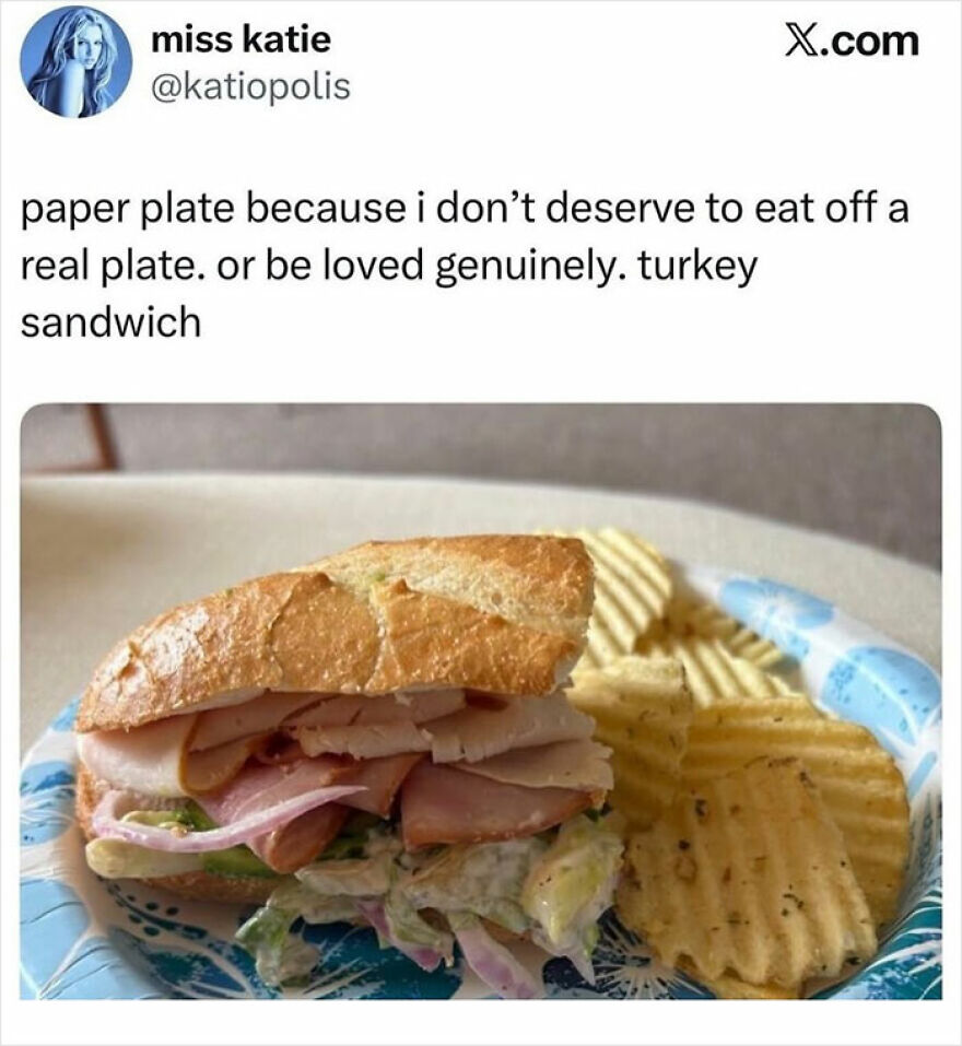 A hilariously unhinged screenshot of a tweet showing a turkey sandwich on a paper plate.