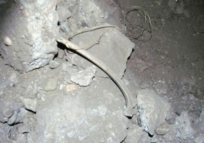 A bone lying among rubble and dirt, a macabre discovery that could be part of an internet's creepy unsolved mystery.