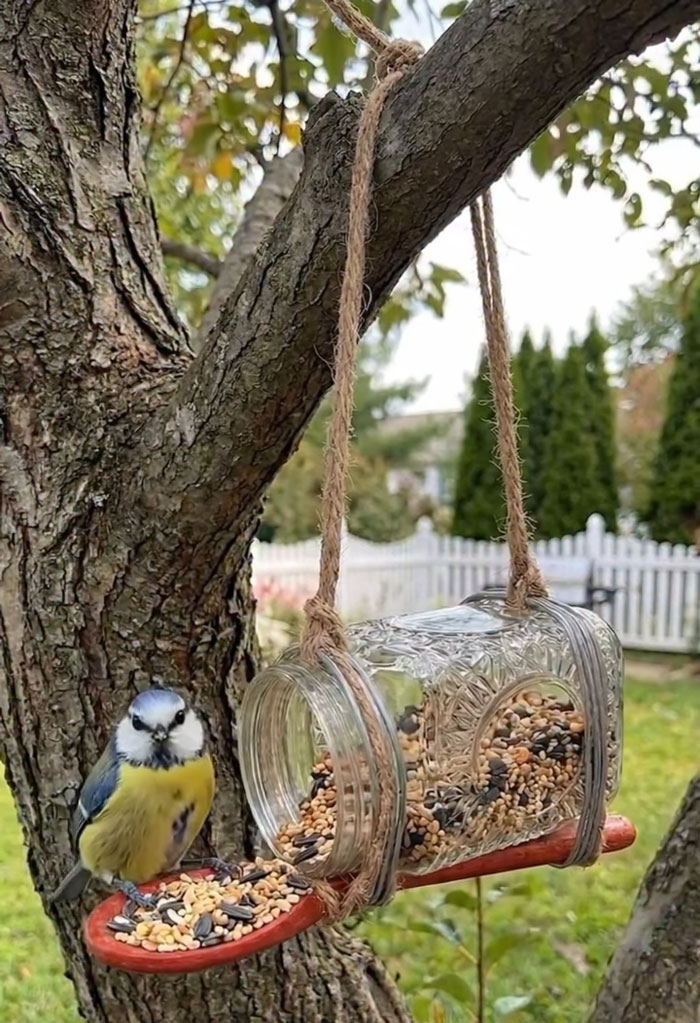 Charming craft project: a repurposed jar bird feeder with a small bird, highlighting clever DIY projects.