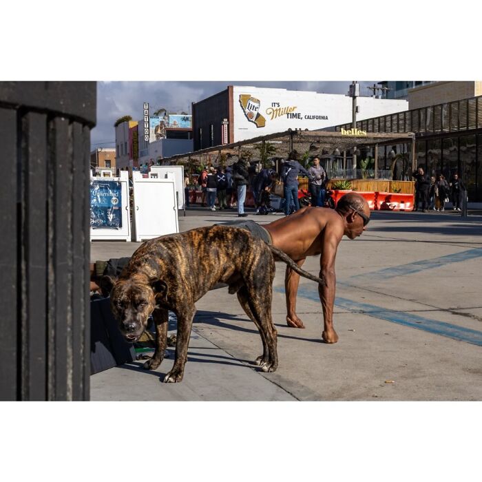 Photographer captures humor and chaos: a man in a strange pose next to a large dog on a street.
