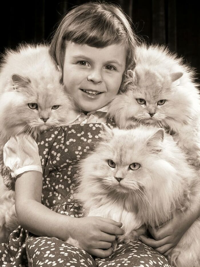 30 More Vintage Cat Photos That Prove Our Love For Cats Hasn't Changed In Over A Century