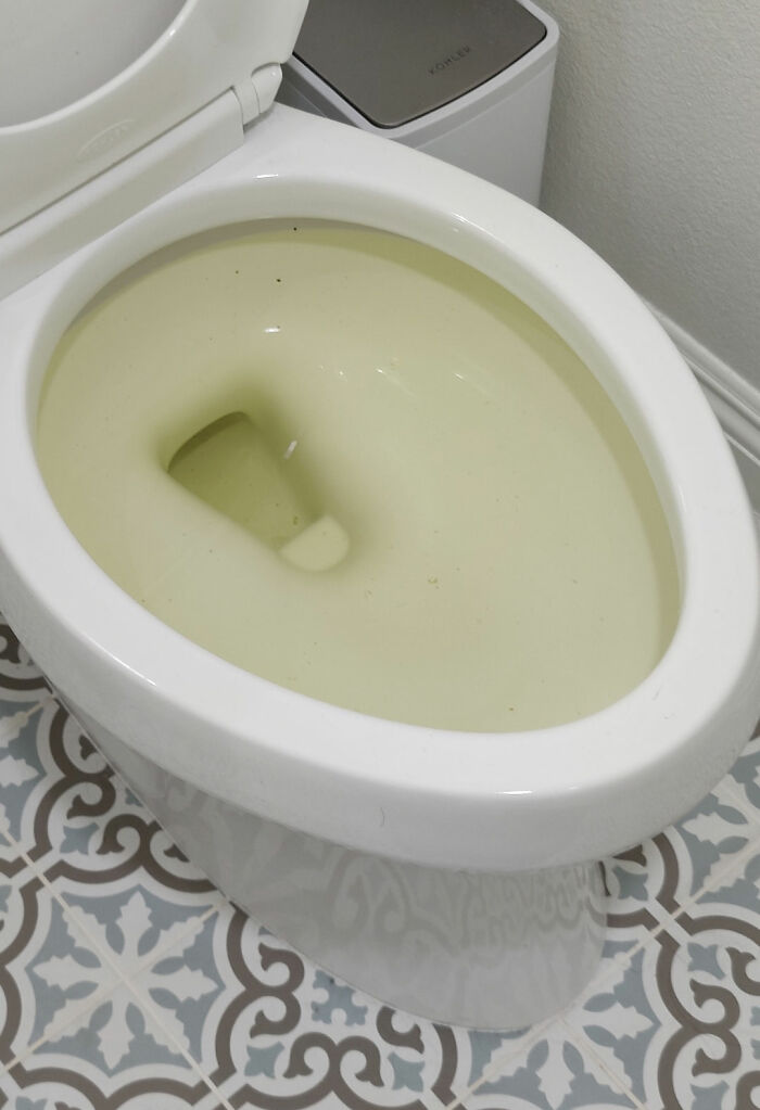 A toilet bowl filled with yellowish water freaked out a man in a woman's home.