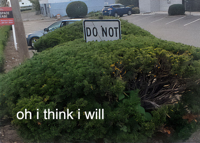 A 'DO NOT' sign half-hidden in bushes, generating cringe memes with the caption 'oh i think i will'.