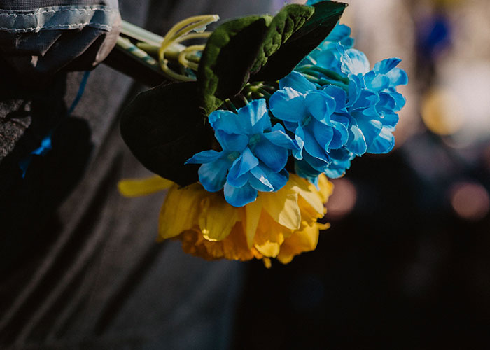 Blue and yellow flowers, symbolizing the theme of birthdays and potentially the loneliest time. Some people dread their birthdays.