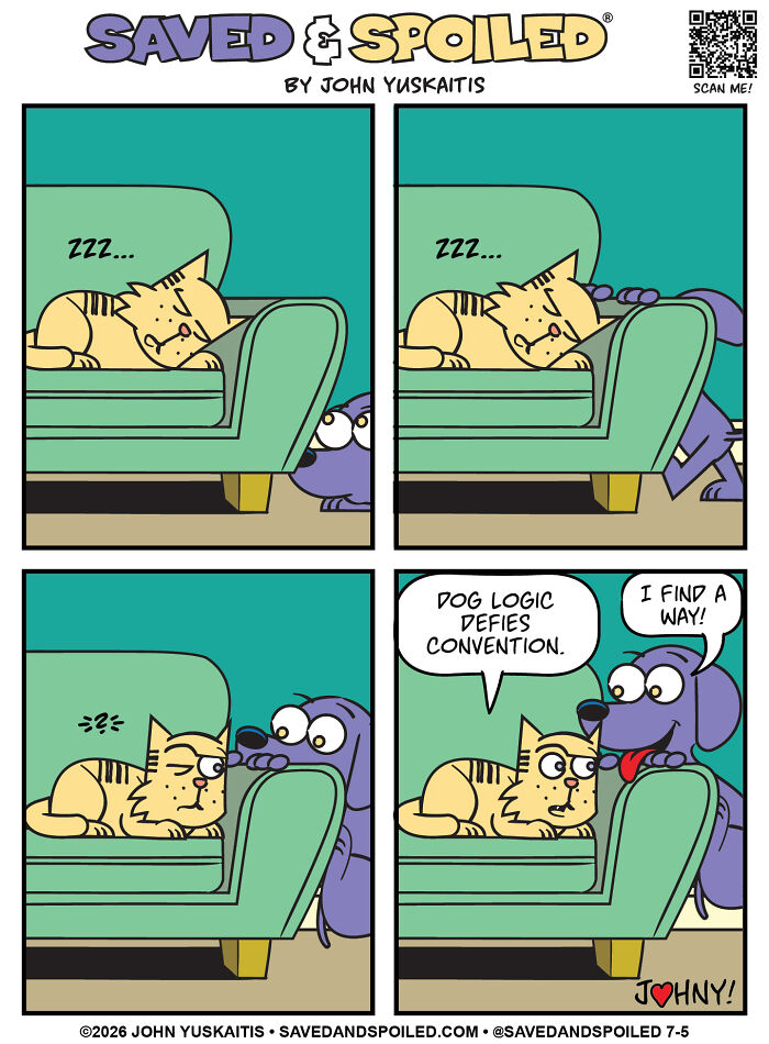 A comic of a cat sleeping on a chair, a dog sneaking up and sharing the chair, and the cat looking confused at the dog, illustrating how a dog and cat coexist.