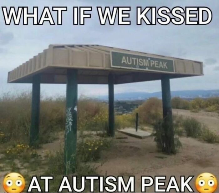 A weird meme showing a shelter at Autism Peak, implying a kiss. The text reads, What if we kissed at Autism Peak?