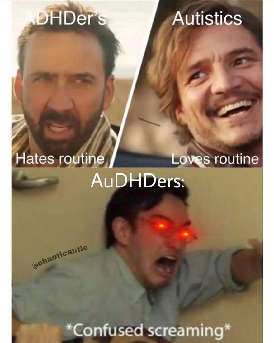 A meme comparing ADHDers who hate routine, Autistics who love routine, and AuDHDers with confused screaming.
