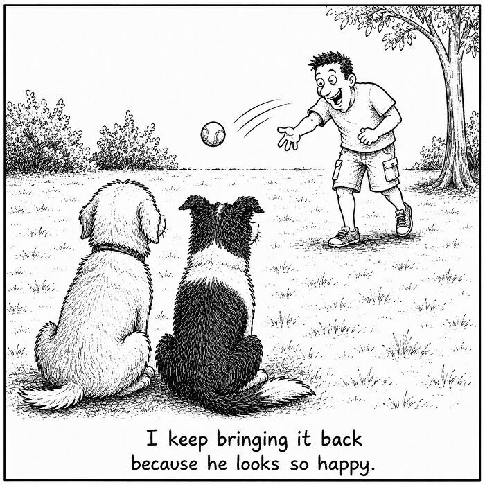 Funny comics showing two dogs watching their owner play fetch. Dog's perspective on everyday moments playing outside.