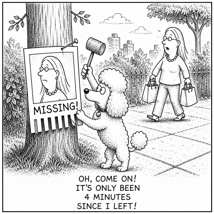 Funny comics about a poodle putting up a missing poster for its owner. Dog's perspective on everyday moments and owner loyalty.