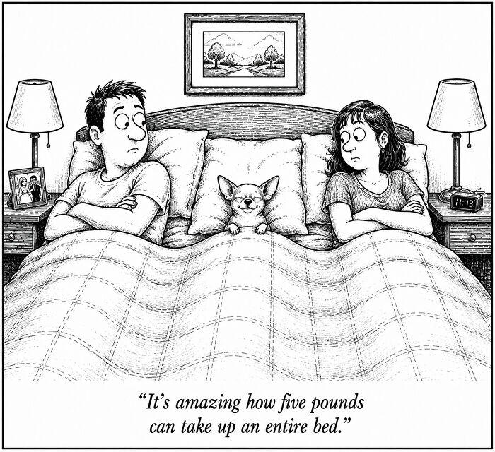 A funny comic from a dog's perspective showing a small dog taking up the whole bed between two unhappy people.