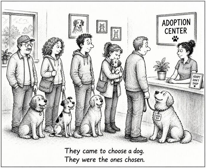 Funny comics from a dog's perspective, people and their dogs waiting in line at an adoption center.