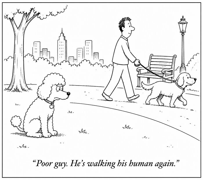 Funny comics from a dog's perspective show a dog watching another dog walking his human in the park.