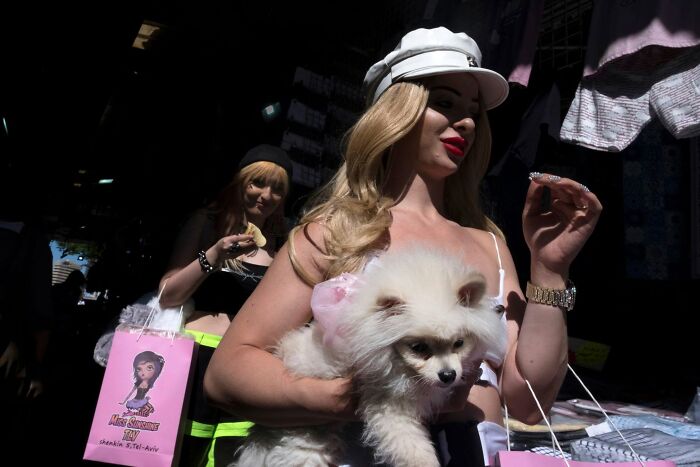 This Photographer Roams The Streets Looking For Unforgettable Dog Moments, And Here Are 50 Of His Best Finds