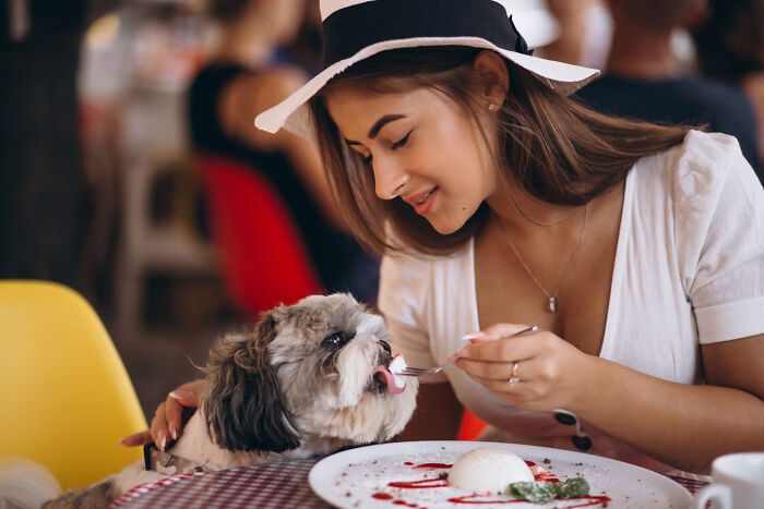 A woman feeding a small dog dessert, an unexpected scene that could be a pocket dial story.