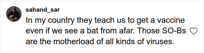 A social media comment about vaccine recommendations when encountering a bat, emphasizing the tragic event. A social media comment about vaccine recommendations when encountering a bat, emphasizing the tragic event.
