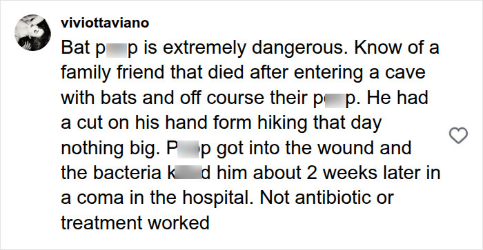 A social media comment discussing the dangers of bat encounters, related to the Canadian boy's tragic loss of life. A social media comment discussing the dangers of bat encounters, related to the Canadian boy's tragic loss of life.