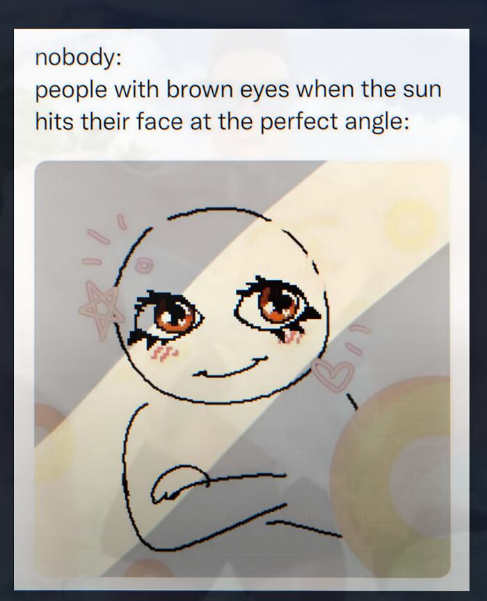 A weird meme showing a cartoon person with sparkling brown eyes when sun hits them.