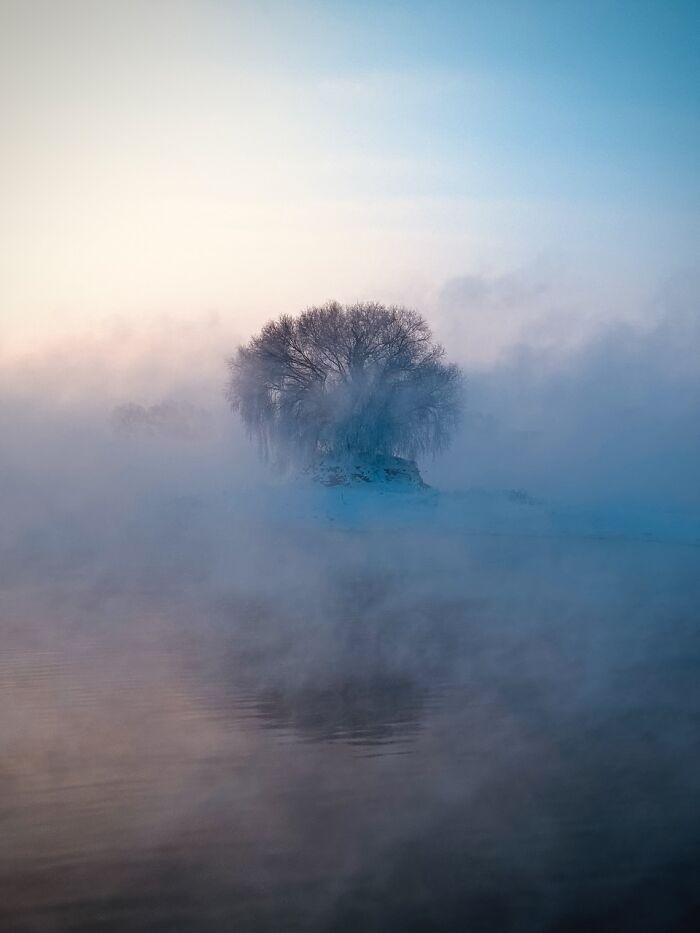 A leafless tree stands in a misty, ethereal landscape over water, a winning photo from the iPhone Photography Awards.
