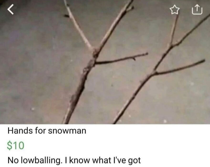 A hilariously unhinged screenshot of an online listing selling branches as snowman hands for $10.