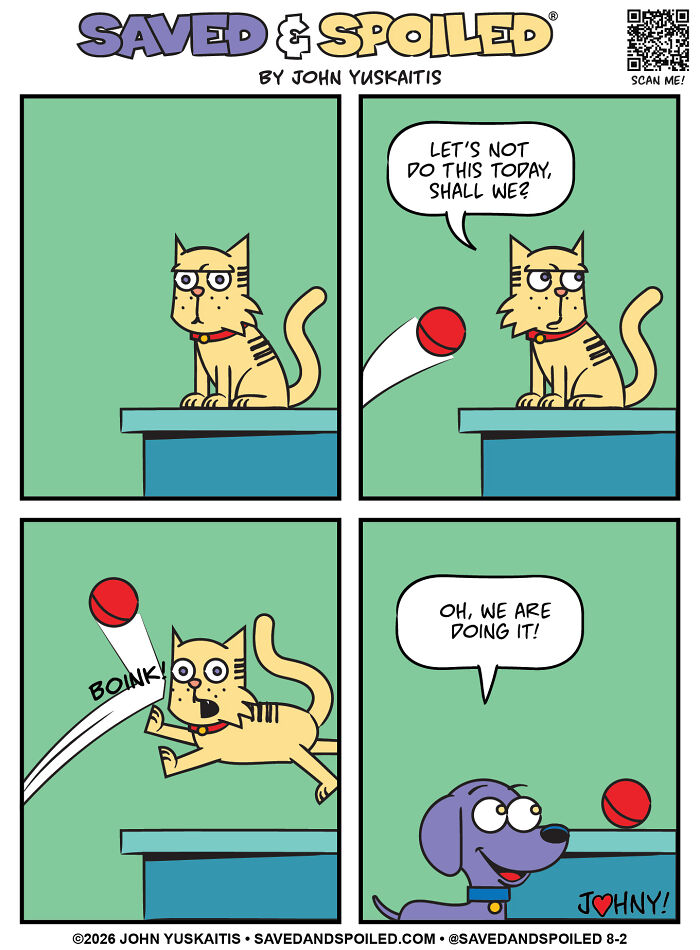 A comic of a dog and a cat figuring out how to coexist. A cat plays with a red ball.