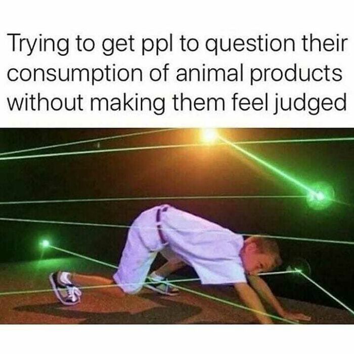A meme showing someone navigating lasers, representing vegans trying to question animal product consumption without judgment.