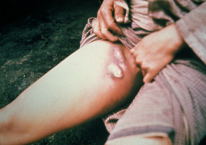 50 Disturbing Facts That Sound Fake But Are Completely True