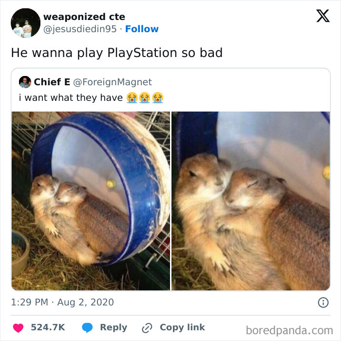 Hilarious memes show two prairie dogs cuddling in a wheel, wishing to play PlayStation.