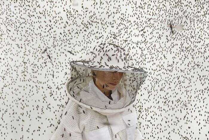 A person in a protective suit covered in insects, captured in the reFocus Contest for remarkable color photos.