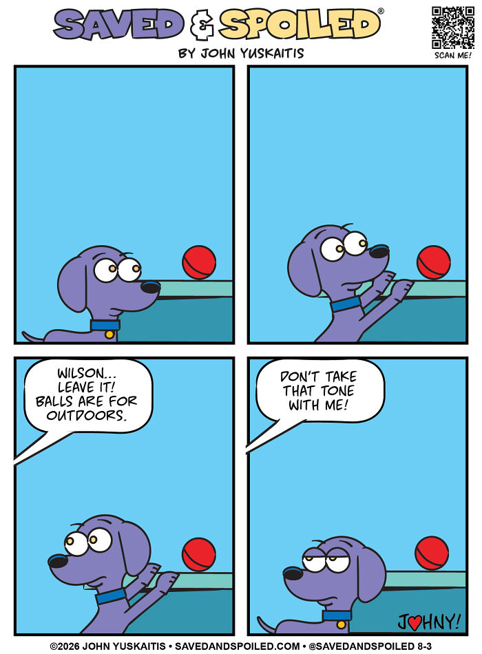 A comic of a dog and a cat figuring out how to coexist, with the dog playing with a red ball.