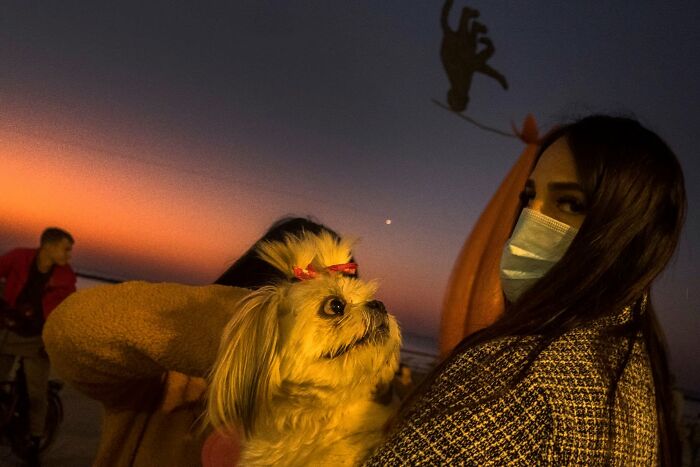 This Photographer Roams The Streets Looking For Unforgettable Dog Moments, And Here Are 50 Of His Best Finds