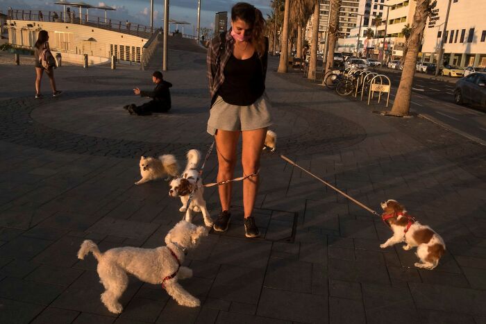 This Photographer Roams The Streets Looking For Unforgettable Dog Moments, And Here Are 50 Of His Best Finds