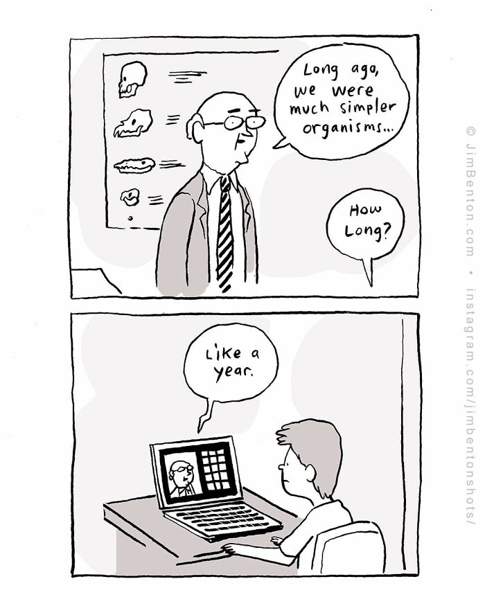 A New Yorker cartoon: A teacher discusses simpler organisms, while a student asks 'How Long?', implying 'Like a year.' Captures everyday absurdity.