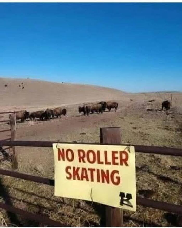 A sign in a field with bison reads NO ROLLER SKATING, exemplifying cultural decline.
