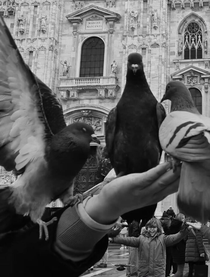 Black and white street photo of pigeons perched on a person's hand in front of a grand building. Animals in street photos.