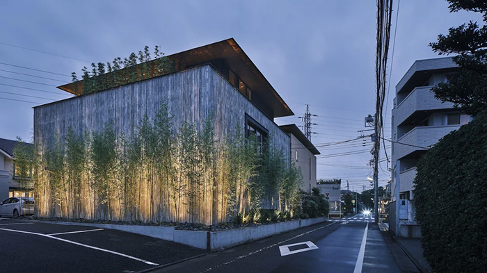 Modern architecture design: A contemporary building with a textured facade, bamboo landscaping, and warm uplighting at dusk.