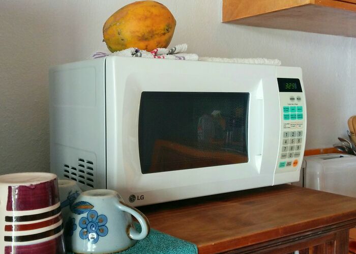 An LG microwave with a papaya on top, a domestic setting where surprising babysitting stories can unfold.