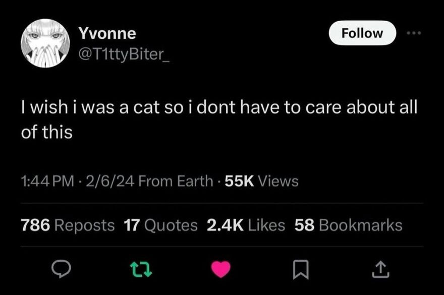 Hilariously unhinged screenshot of a tweet by Yvonne: I wish I was a cat so I don't have to care about all of this.
