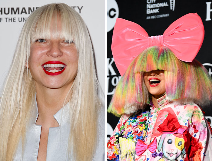 Singer Sia is among 17 stars many have no idea are on the autism spectrum. Her autism diagnosis was revealed.
